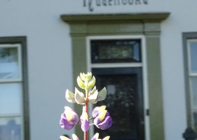 Herbestemming Herenhuis Wageningen